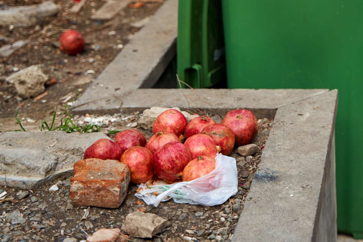 La startup que le da nueva vida al desperdicio alimentario