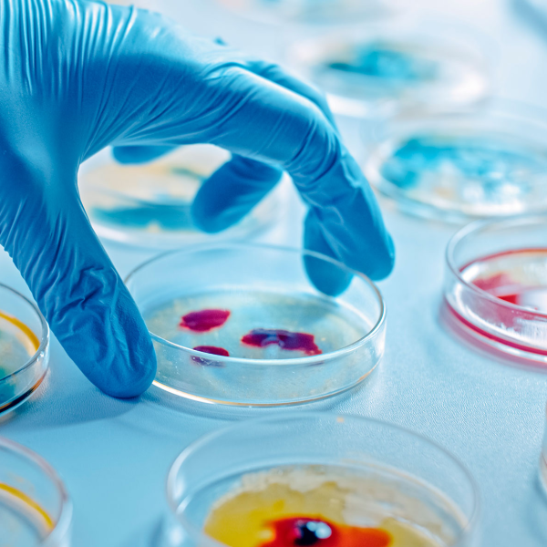 Biotecnología Pacífica: Compromiso de China con la Seguridad