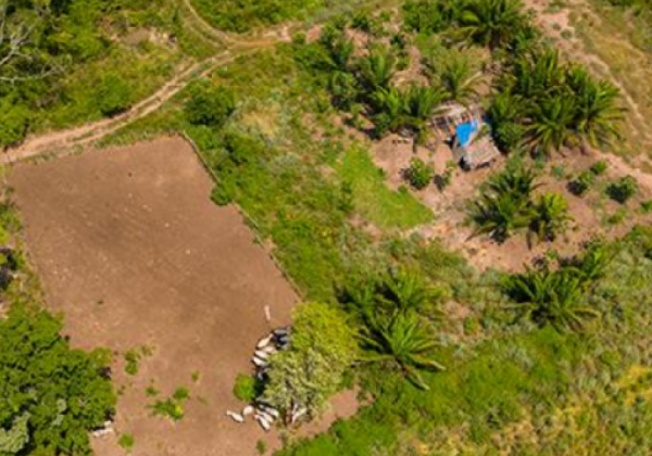 Tráfico de tierras Bolivia: Investigación en curso sobre Kailasa