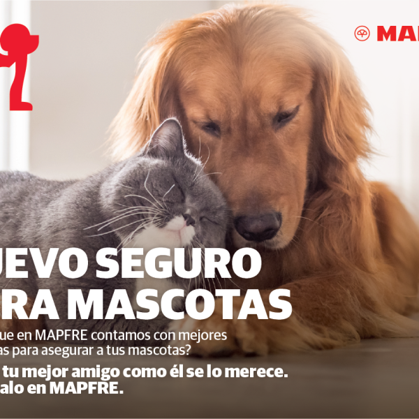 Seguros para Mascotas: Aumento y Friendflation en Chile
