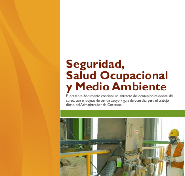 Salud Ocupacional Codelco: Estrategia para 2025
