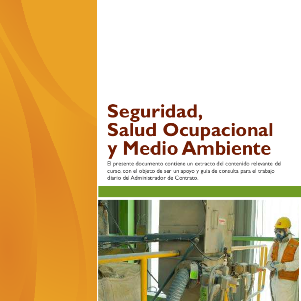 Salud Ocupacional Codelco: Estrategia para 2025