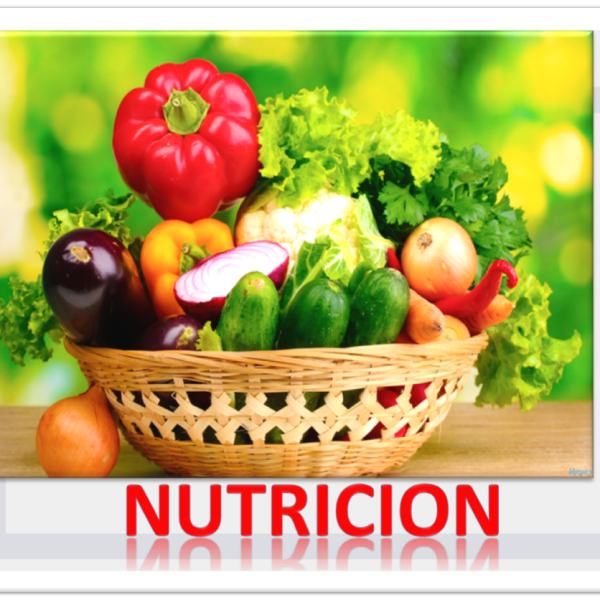 Nutrición Saludable: Consejos para una Vida Equilibrada