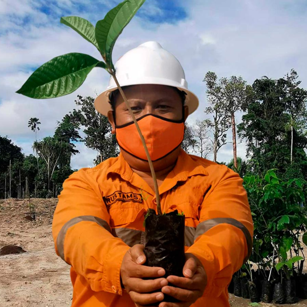 Sostenibilidad en minería: FLS inaugura planta en Chile