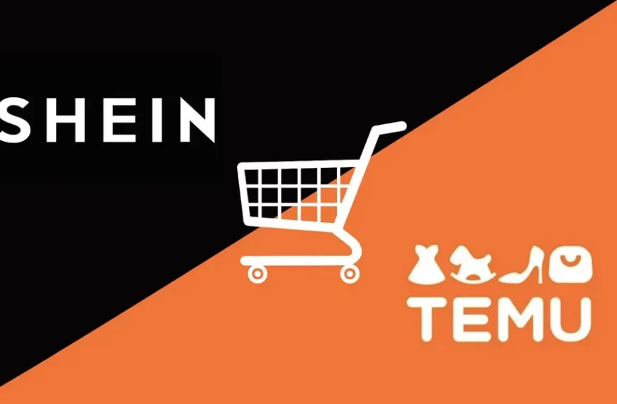 Temu y Shein: la Controversia Detrás de Su Popularidad