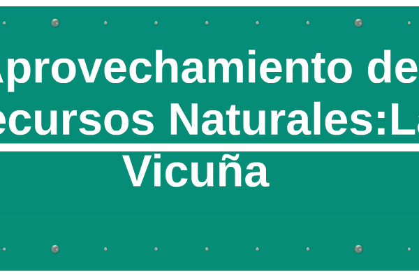 Recursos Minerales Vicuña: Actualización de Lundin Mining