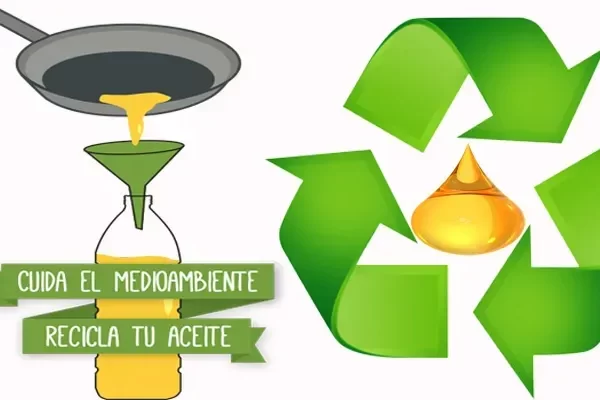 Reciclaje de aceite de cocina: de residuos a jabón y alimento