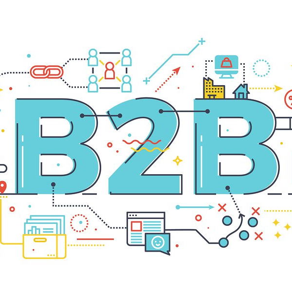 Desarrollo Comercial B2B: Programa Integral de Phibrand