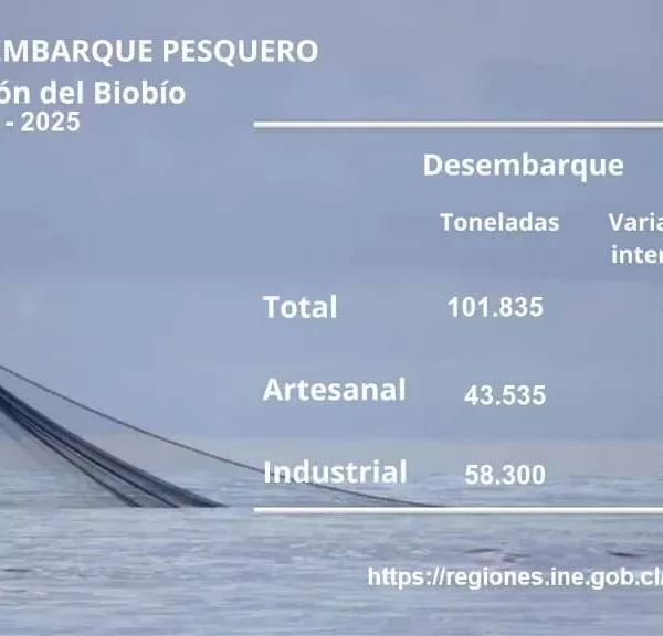 Desembarque pesquero Biobío: Cifras de mayo 2025