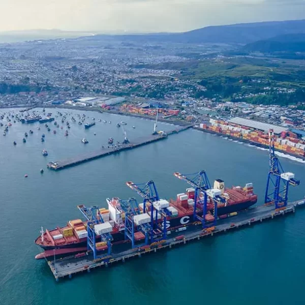 Exportación de la Patagonia: Oportunidades en Biobío