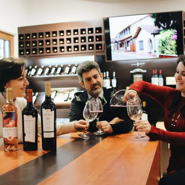 Exportaciones de Vinos Chilenos Aumentan en 2025