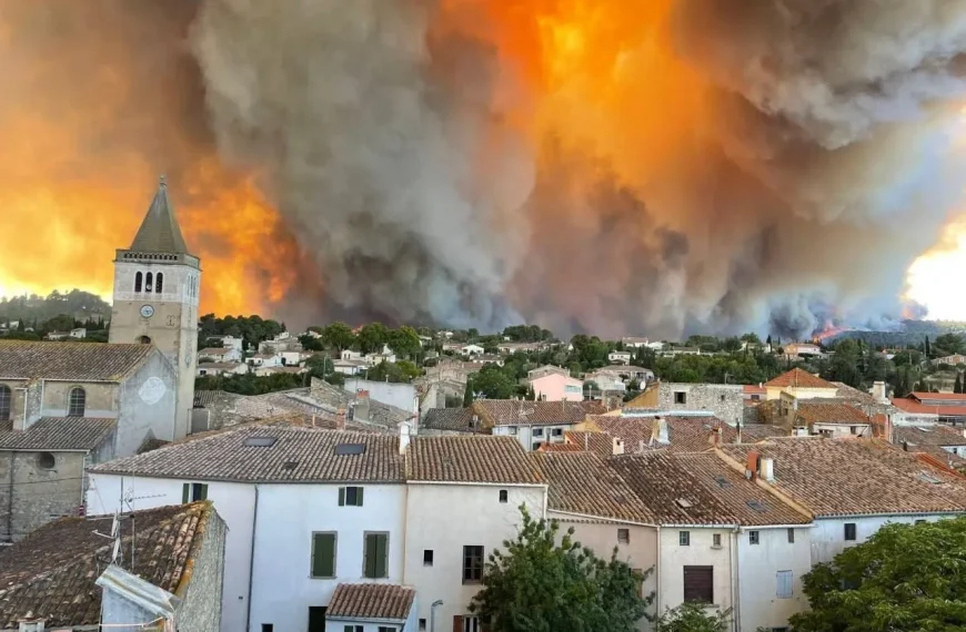 Incendios forestales: Emergencia en Francia y Andalucía