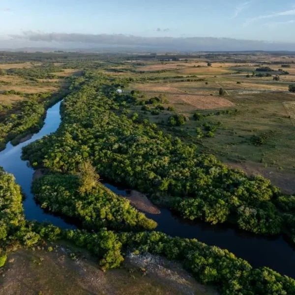 Inversión inmobiliaria sostenible: un nuevo proyecto en Uruguay