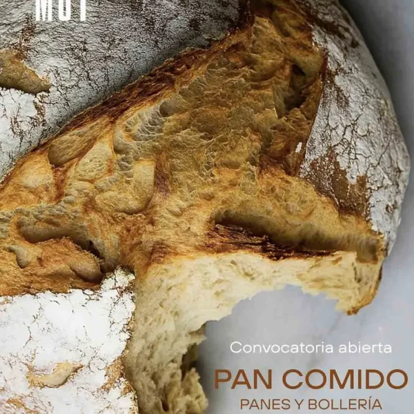 Pan Comido MUT: Celebrando el Arte del Pan y la Gastronomía