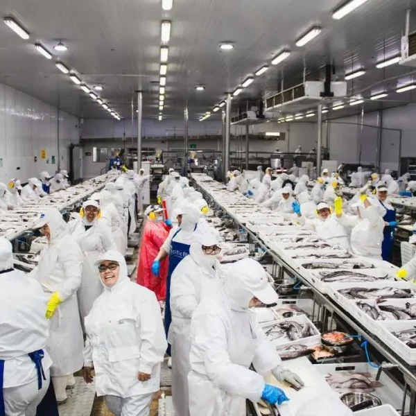 Pesca Sostenible: Protección de la Merluza y Empleos