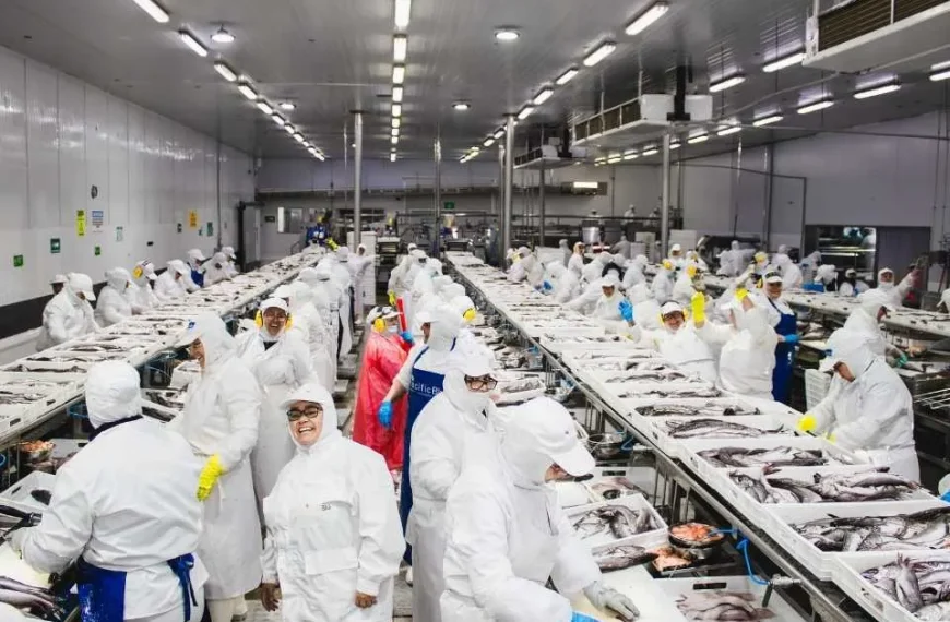 Pesca Sostenible: Protección de la Merluza y Empleos