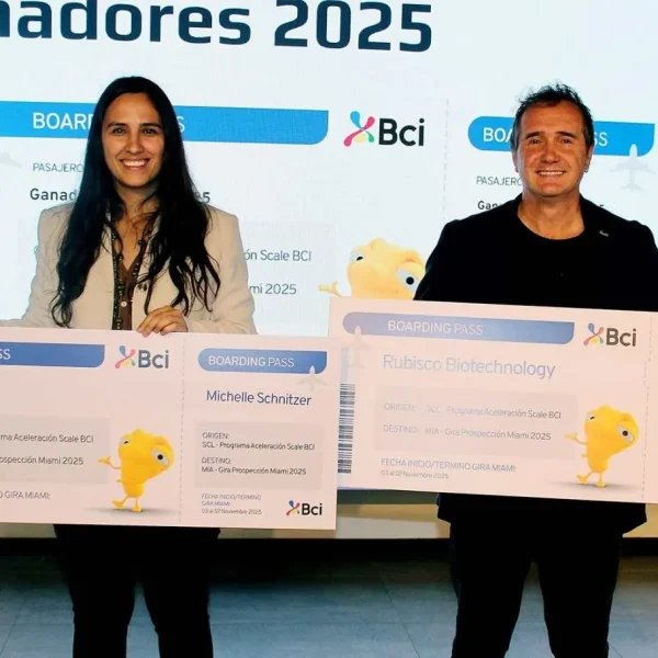 Startups en Chile: Ganadores del Scale Bci 2025