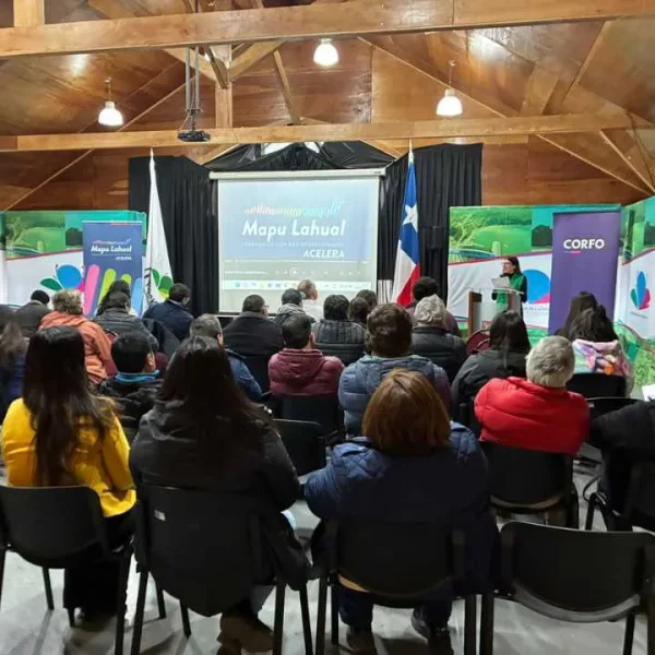 Acelera Mapu Lahual: Programa para Empresas en Los Lagos