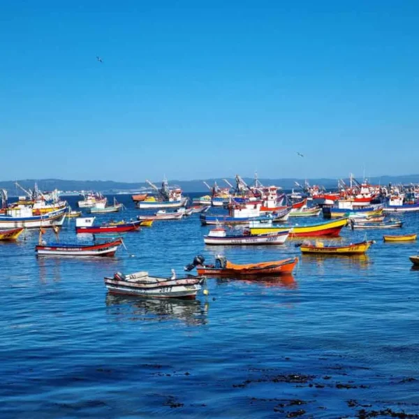 Desigualdad en la pesca artesanal en Chile: causas