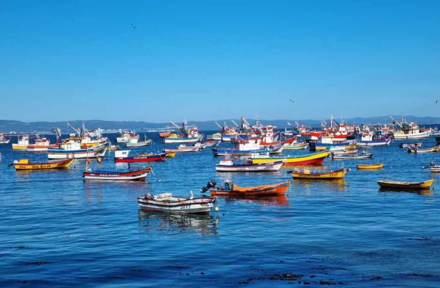 Desigualdad en la pesca artesanal en Chile: causas
