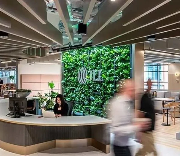 Sustentabilidad Empresarial: Clave para el Futuro Competitivo