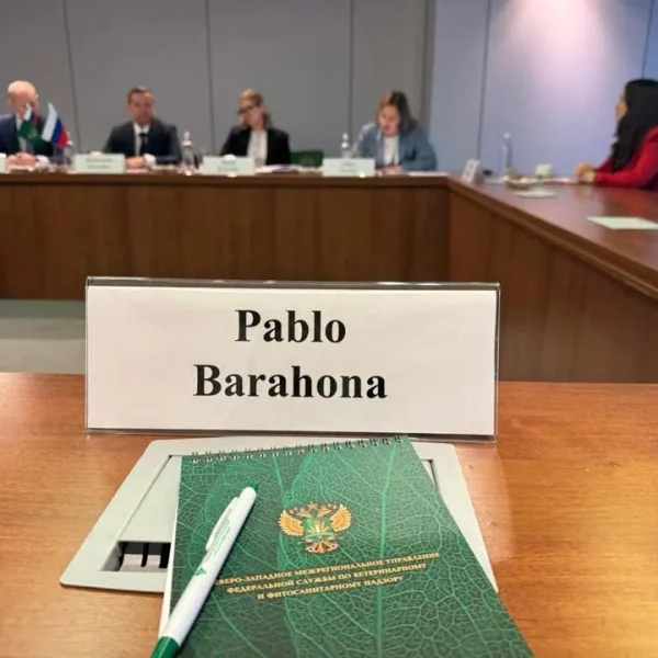 Exportación de Salmón Chileno: Avances en San Petersburgo
