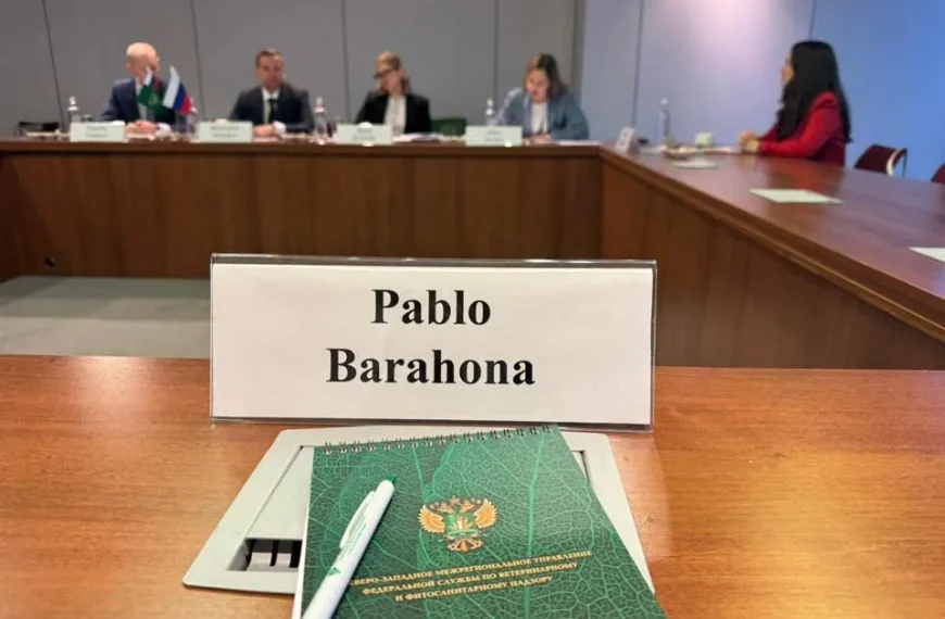Exportación de Salmón Chileno: Avances en San Petersburgo