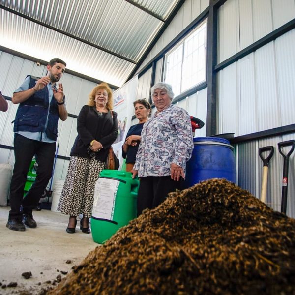 Modelos Productivos Sustentables en la Agricultura Familiar