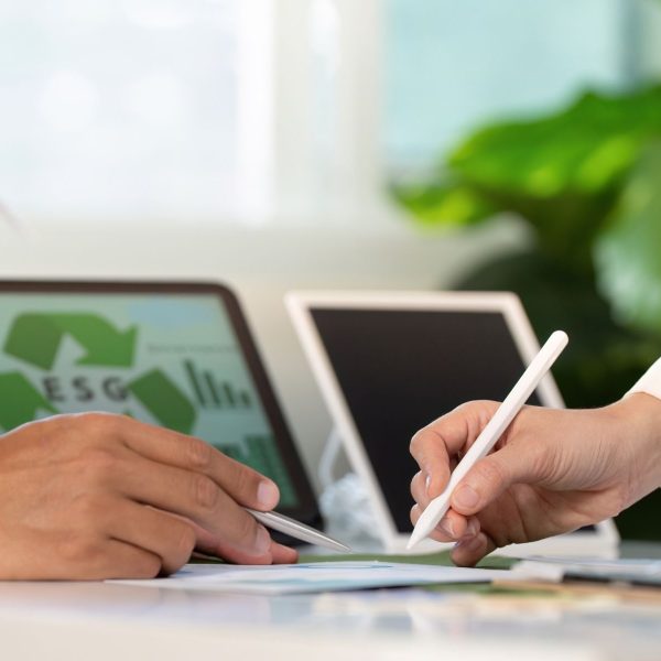 Estándares ESG: ¿Cómo gestionarlos eficazmente en tu empresa?