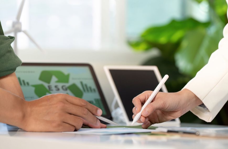 Estándares ESG: ¿Cómo gestionarlos eficazmente en tu empresa?