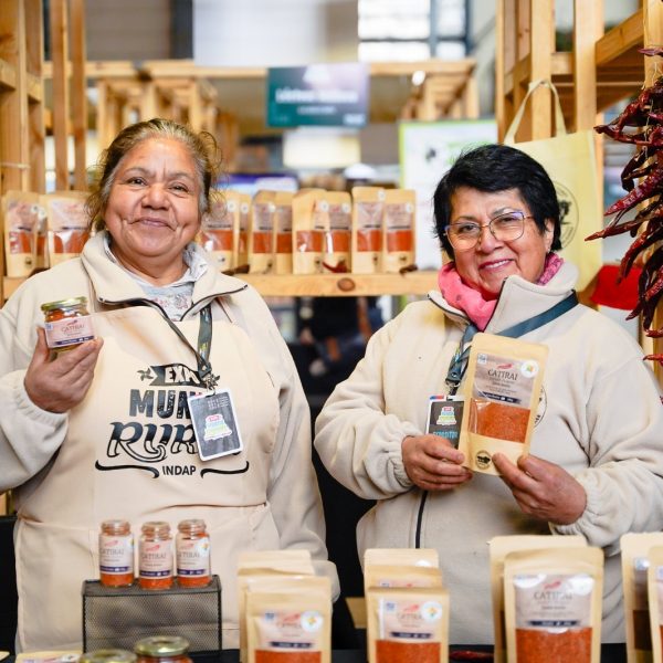 Festival Ñam: Celebrando la Gastronomía Chilena en 2026