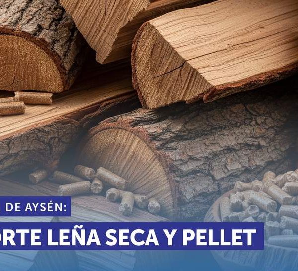 Precios Leña Coyhaique: Lo que Debes Saber para Comprar Barato