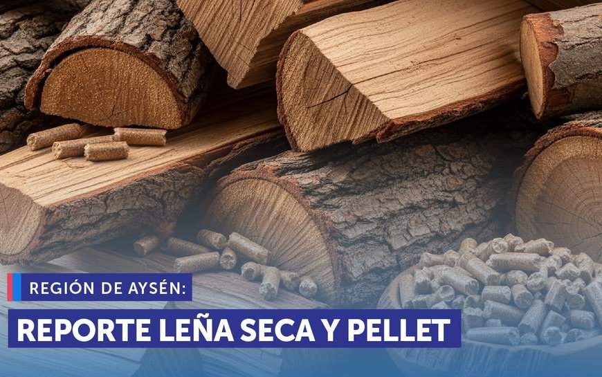 Precios Leña Coyhaique: Lo que Debes Saber para Comprar Barato