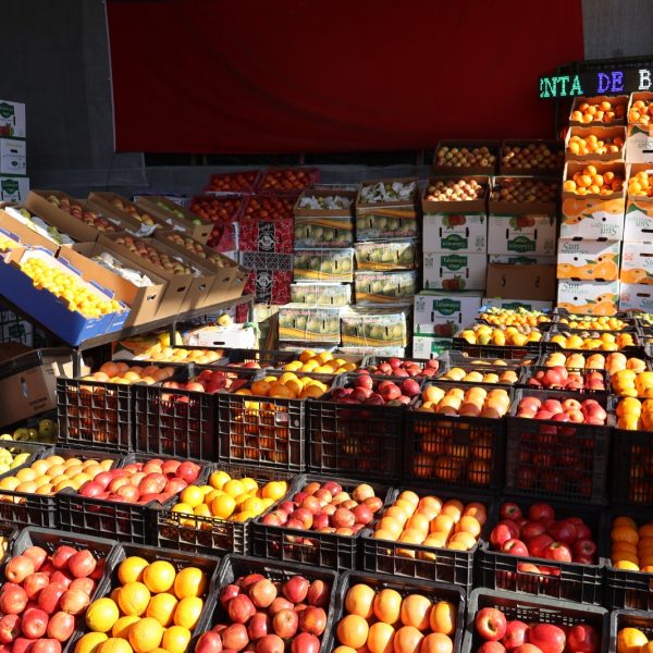 Abastecimiento de manzanas: ¿Cómo impacta en la temporada de invierno?