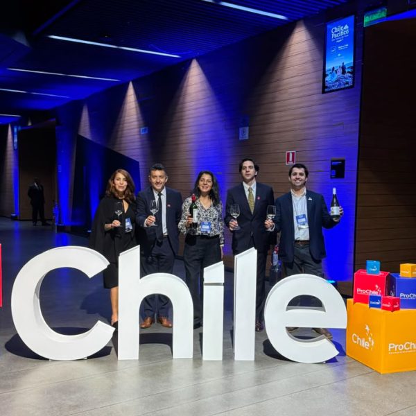 Enoturismo en Chile: Descubre la Experiencia Única de Casas del Bosque