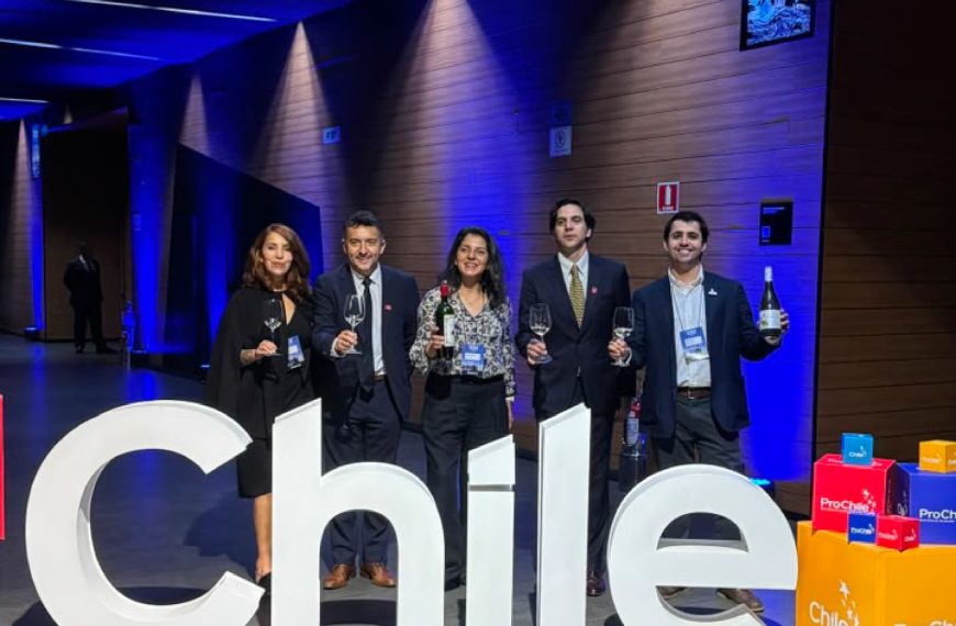 Enoturismo en Chile: Descubre la Experiencia Única de Casas del Bosque