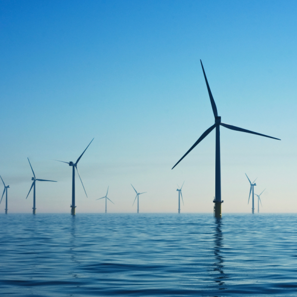 ¿Por qué la energía renovable depende de empresas como Transelec?