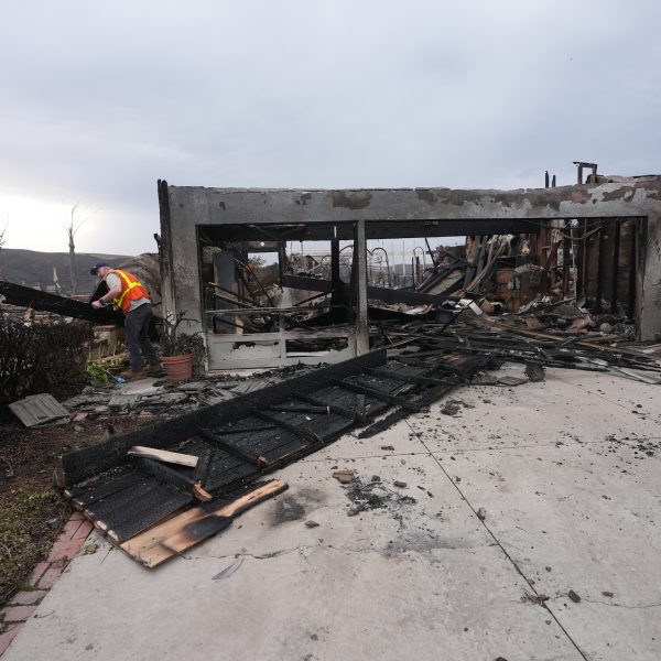 Incendio Norte: Un rescate inesperado entre las cenizas